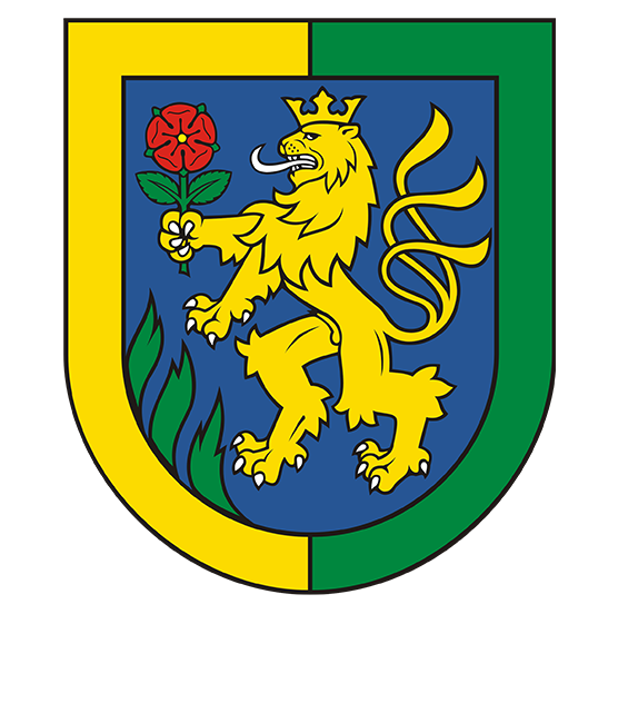 levice -a